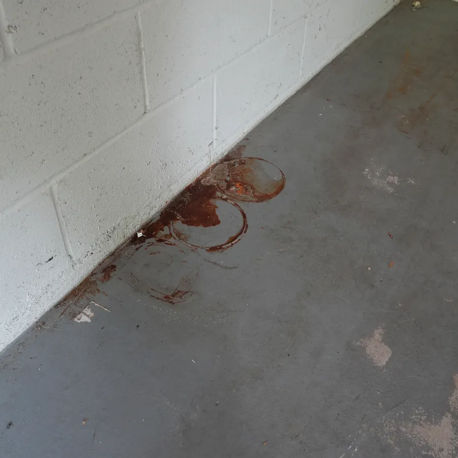 Before: rust rings and stains on bare concrete at the wall base